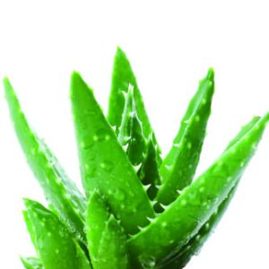 Crema facial Antioxidante piel madura
