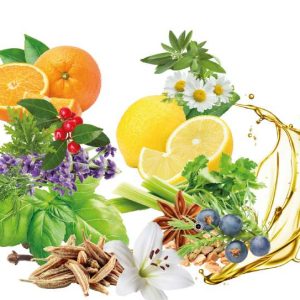Bálsamo Bucal Menta